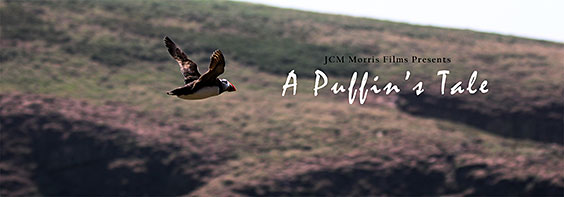 A-Puffin's-Tale---Poster