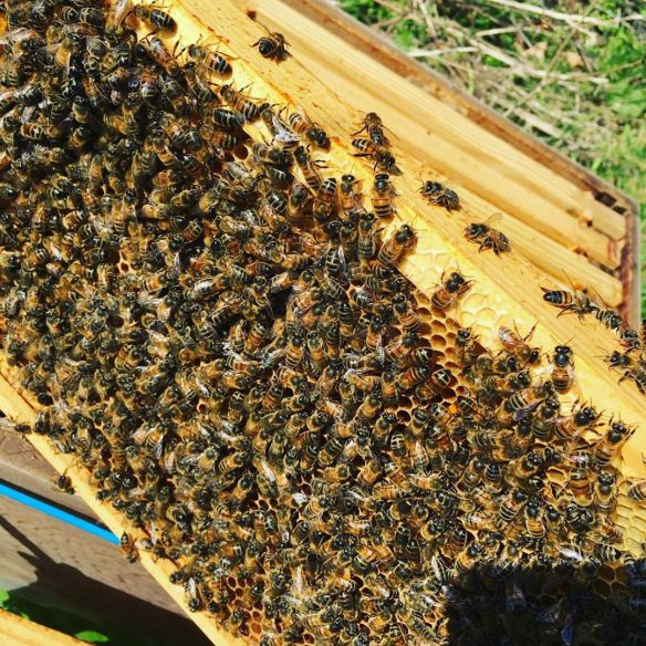 93200113_1501510473344462_64814811180188462_n